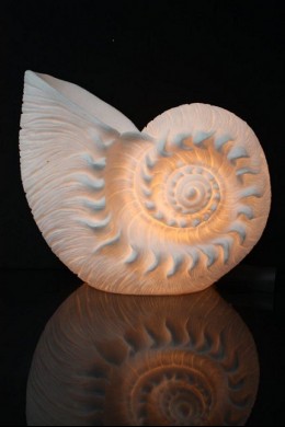 OUT OF STOCK NAUTILUS  LAMP [480739] 13"X12"X6"